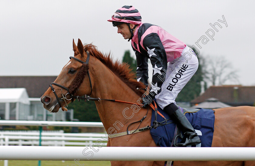 Night-Generation-0001 
 NIGHT GENERATION (Martin Harley) Lingfield 20 Dec 2017 - Pic Steven Cargill / Racingfotos.com