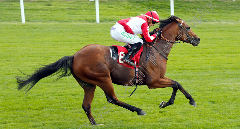 The-Emperor-Within-0006 
 THE EMPEROR WITHIN (Josephine Gordon) wins The Best Odds Guaranteed At 188bet Handicap
Sandown 31 Aug 2018 - Pic Steven Cargill / Racingfotos.com