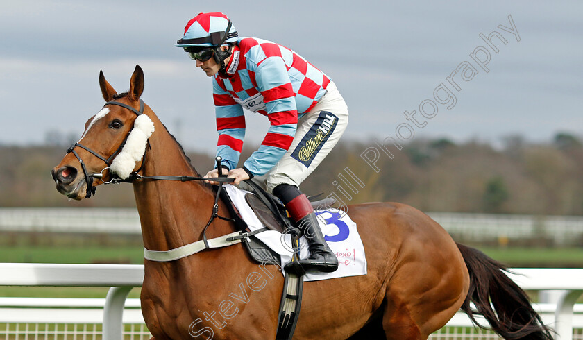 Kilbeg-King-0001 
 KILBEG KING (Sam Twiston-Davies)
Ascot 17 Feb 2024 - Pic Steven Cargill / Racingfotos.com