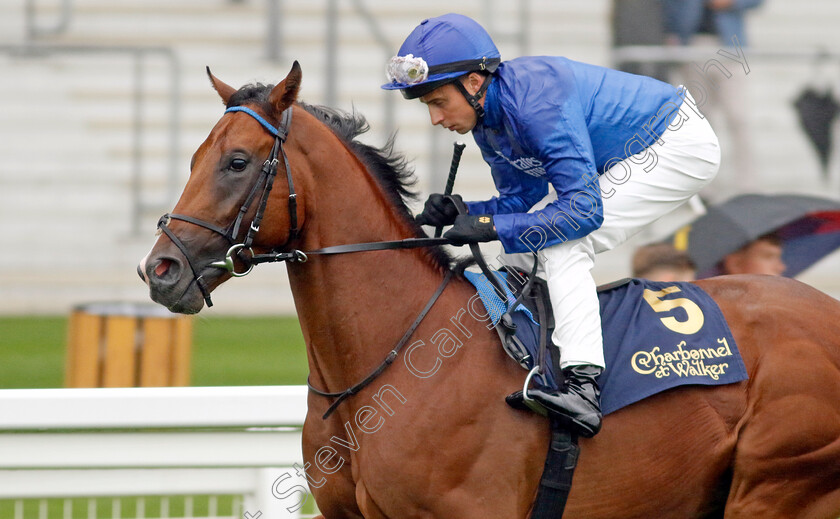 Fifth-Column-0002 
 FIFTH COLUMN (William Buick)
Ascot 6 Sep 2024 - Pic Steven Cargill / Racingfotos.com