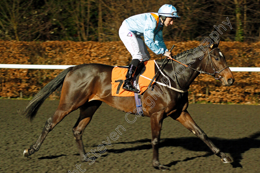 Ventura-Knight-0001 
 VENTURA KNIGHT (P J McDonald) Kempton 7 Mar 2018 - Pic Steven Cargill / Racingfotos.com