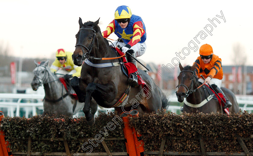 Vive-Le-Roi-0004 
 VIVE LE ROI (Harry Bannister) wins The Ladbrokes Handicap Hurdle
Newbury 30 Nov 2018 - Pic Steven Cargill / Racingfotos.com