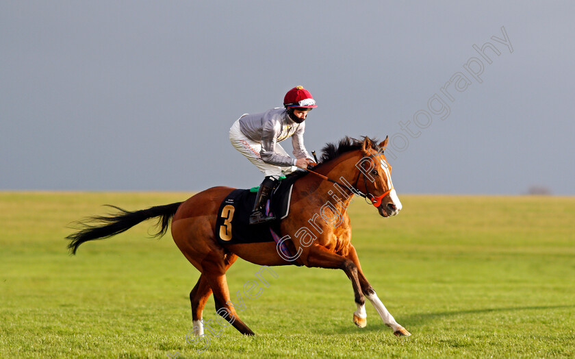 Qaysar-0001 
 QAYSAR (Rossa Ryan)
Newmarket 31 Oct 2020 - Pic Steven Cargill / Racingfotos.com