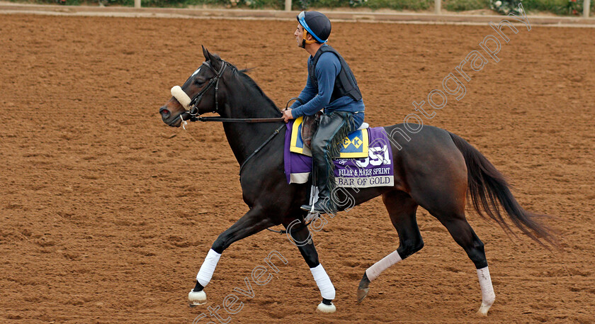 Bar-Of-Gold-0001 
 BAR OF GOLD exercising at Del Mar USA in preparation for The Breeders' Cup Filly & Mare Sprint 30 Oct 2017 - Pic Steven Cargill / Racingfotos.com