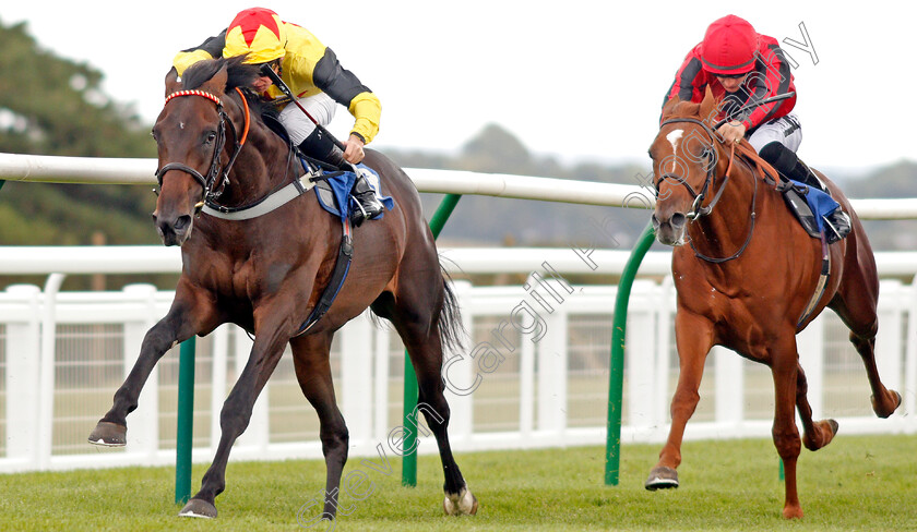 Kenzai-Warrior-0004 
 KENZAI WARRIOR (Jason Watson) beats MAX VEGA (right) in The Irish Thoroughbred Marketing Novice Stakes
Salisbury 5 Sep 2019 - Pic Steven Cargill / Racingfotos.com