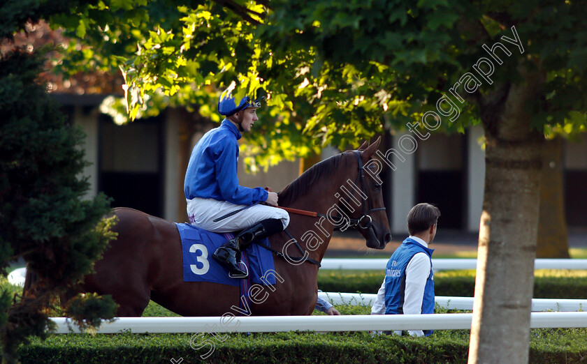 Dubai-Romance-0001 
 DUBAI ROMANCE (Hector Crouch)
Kempton 22 May 2019 - Pic Steven Cargill / Racingfotos.com