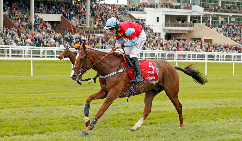 Fortune-Bound-0003 
 FORTUNE BOUND (Martin McIntyre) wins The Connolly's Red Mills Intermediate Point to Point Championship Final Hunters Chase Cheltenham 4 May 2018 - Pic Steven Cargill / Racingfotos.com