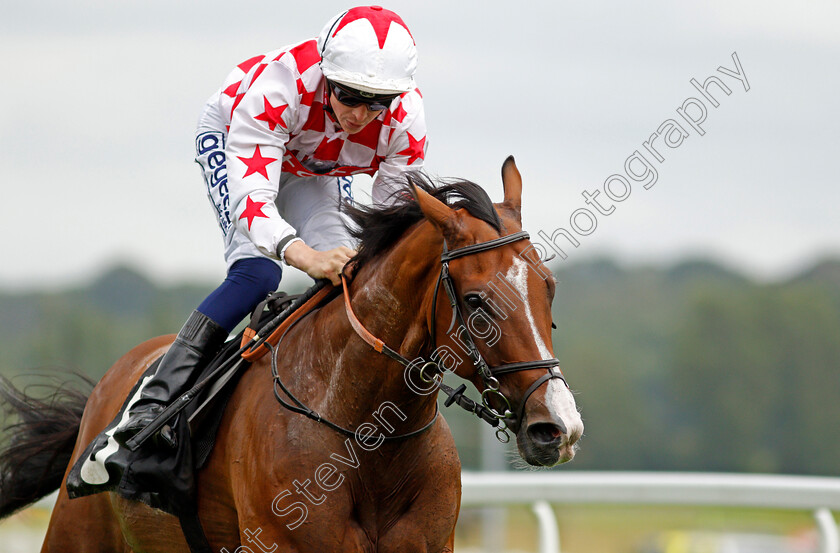 Spanish-Star-0006 
 SPANISH STAR (David Probert) wins The Download The BetVictor App Handicap
Newbury 13 Aug 2021 - Pic Steven Cargill / Racingfotos.com