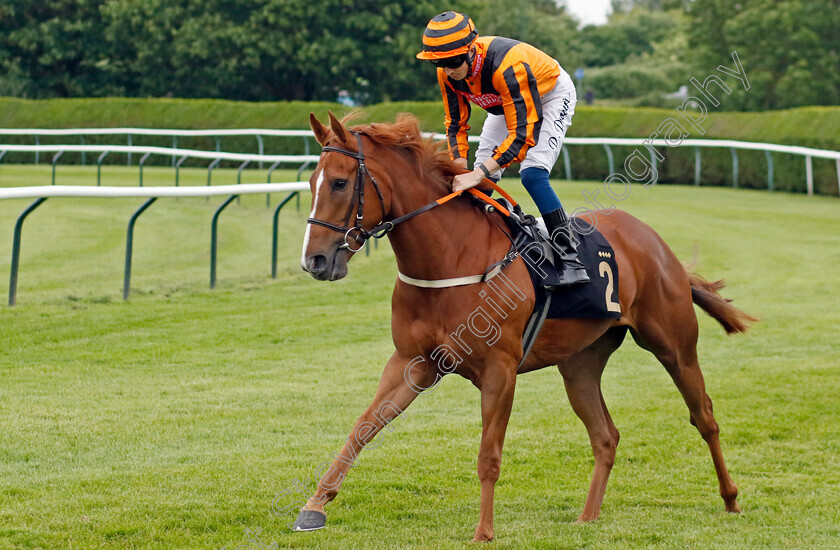 Mereside-Diva-0007 
 MERESIDE DIVA (David Probert) winner of The Bet At racingtv.com Handicap
Nottingham 30 May 2023 - Pic Steven Cargill / Racingfotos.com