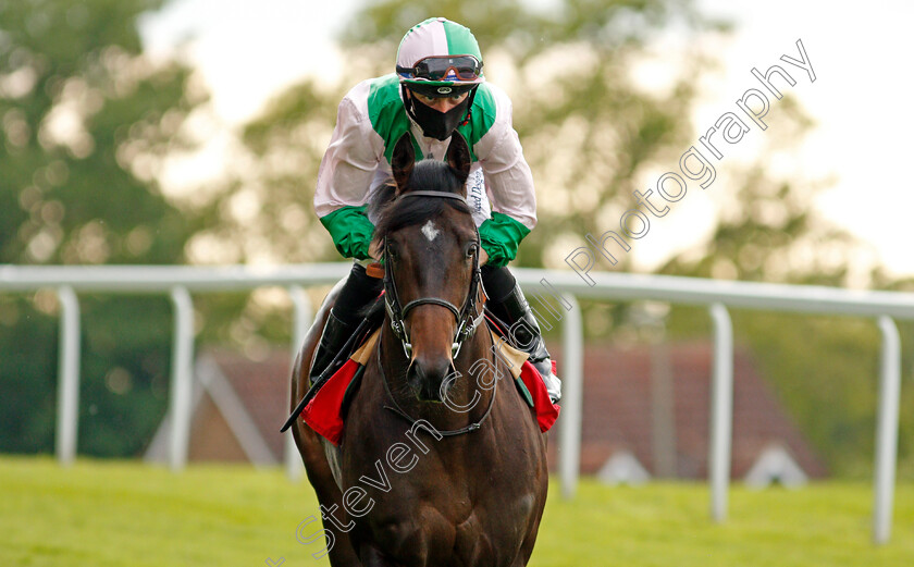 Little-Earl-0001 
 LITTLE EARL (Ray Dawson)
Sandown 27 May 2021 - Pic Steven Cargill / Racingfotos.com