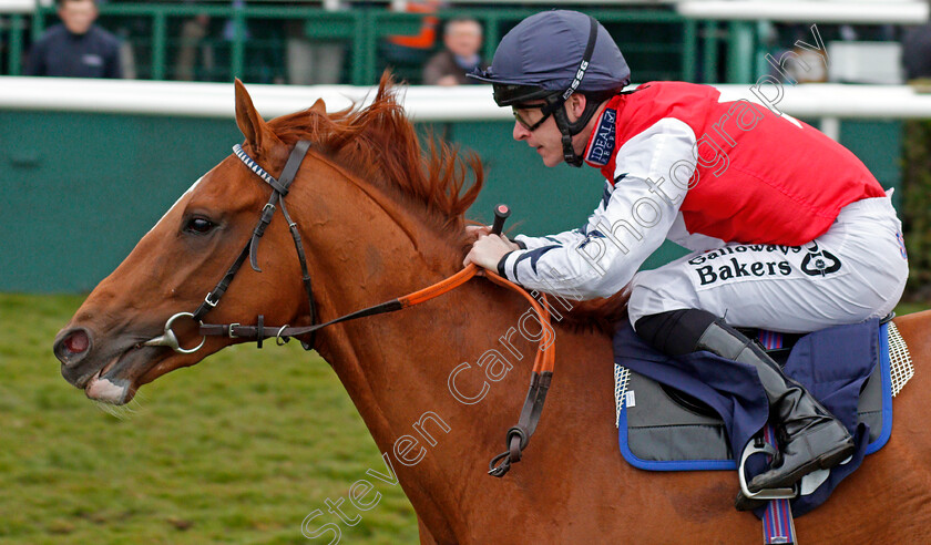 Proschema-0005 
 PROSCHEMA (Richard Kingscote) wins The 32Red Casino Maiden Stakes Doncaster 24 Mar 2018 - Pic Steven Cargill / Racingfotos.com