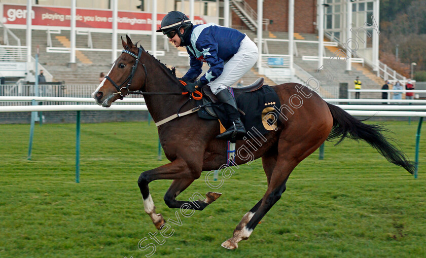 Bad-Company-0004 
 BAD COMPANY (Serena Brotherton) wins The AJA Handicap
Nottingham 4 Nov 2020 - Pic Steven Cargill / Racingfotos.com