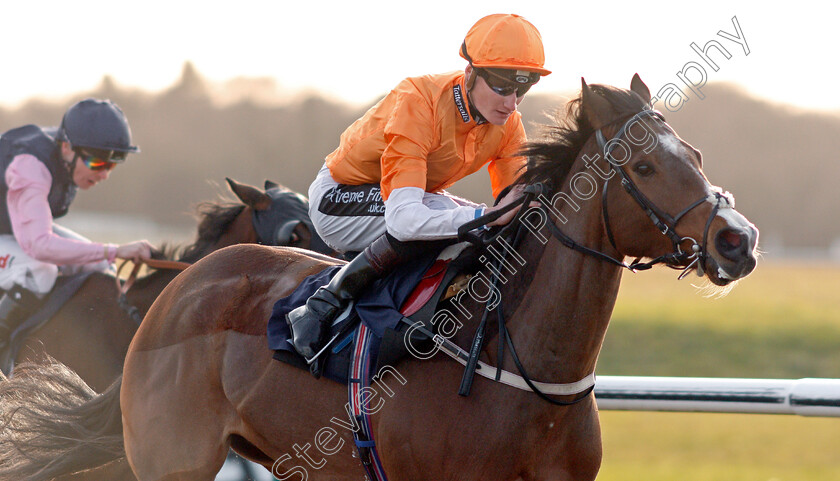 Regicide-0005 
 REGICIDE (Daniel Muscutt) wins The Betway Live Casino Handicap Lingfield 16 Feb 2018 - Pic Steven Cargill / Racingfotos.com