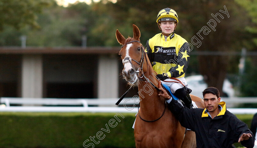 Wanderlust-0001 
 WANDERLUST (Saffie Osborne)
Kempton 16 Jul 2024 - Pic Steven Cargill / Racingfotos.com