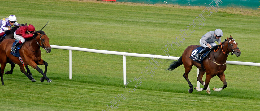 Flight-Plan-0003 
 FLIGHT PLAN (Daniel Tudhope) wins The Dullingham Park Stakes
Leopardstown 9 Sep 2023 - Pic Steven Cargill / Racingfotos.com