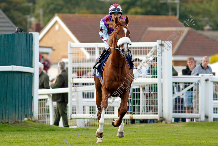 Alrazeen-0001 
 ALRAZEEN (Hayley Turner)
Yarmouth 17 Sep 2024 - Pic Steven Cargill / Racingfotos.com