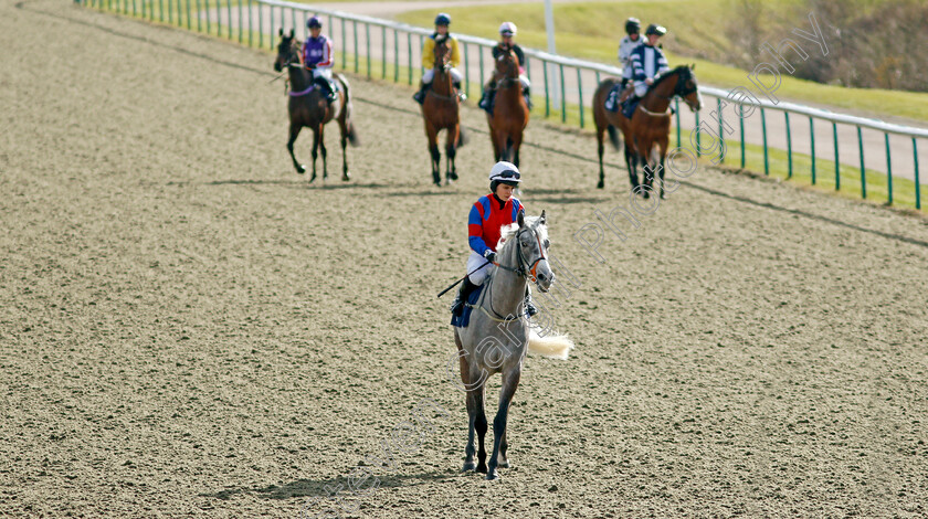 Silver-Byrne-0002 
 SILVER BYRNE (Emma Taff) at the start
Lingfield 9 Mar 2022 - Pic Steven Cargill / Racingfotos.com