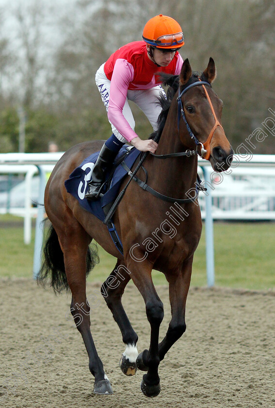 Antonia-Clara-0001 
 ANTONIA CLARA (Oisin Murphy)
Lingfield 2 Mar 2019 - Pic Steven Cargill / Racingfotos.com