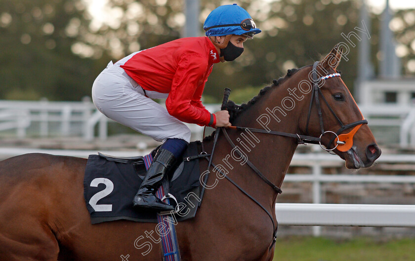 Eagle s-Realm-0001 
 EAGLE'S REALM (Ryan Tate)
Chelmsford 15 Oct 2020 - Pic Steven Cargill / Racingfotos.com