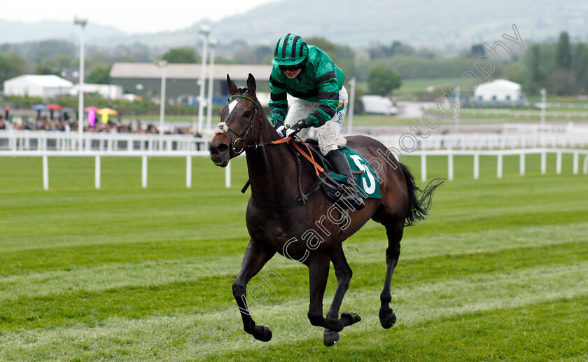 Kalabaloo-0005 
 KALABALOO (Gina Andrews) wins The GX Landrovers Mares Open Hunters Chase
Cheltenham 3 May 2019 - Pic Steven Cargill / Racingfotos.com