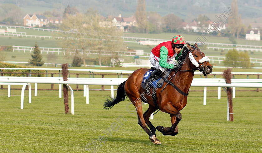 Cobra-De-Mai-0004 
 COBRA DE MAI (Harry Skelton) wins The Weatherite Handicap Chase
Cheltenham 17 Apr 2019 - Pic Steven Cargill / Racingfotos.com