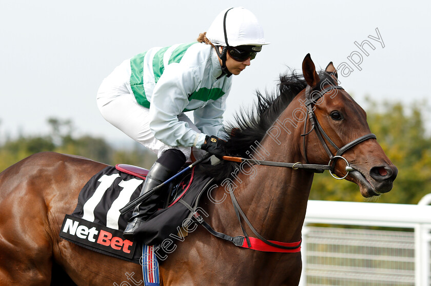 Summer-Skies-0001 
 SUMMER SKIES (Hayley Turner)
Goodwood 4 Sep 2018 - Pic Steven Cargill / Racingfotos.com