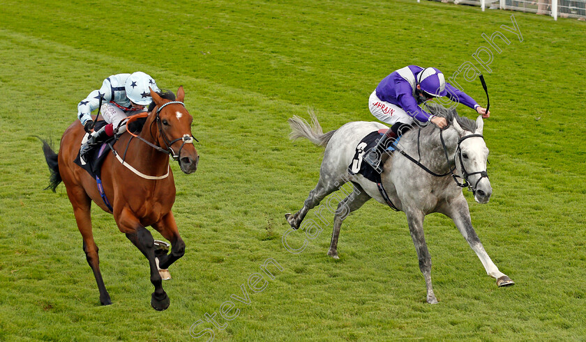 Highland-Rocker-0004 
 HIGHLAND ROCKER (right, Robert Havlin) beats WITHOUT REVENGE (left) in The Chichester City Handicap
Goodwood 29 Aug 2021 - Pic Steven Cargill / Racingfotos.com