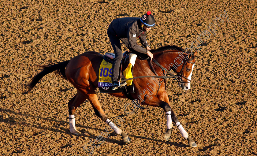 Pyrenees-0001 
 PYRENEES training for the Breeders' Cup Classic
Del Mar USA 30 Oct 2024 - Pic Steven Cargill / Racingfotos.com