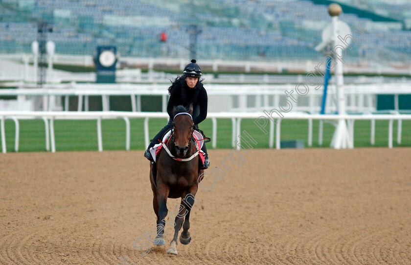 Good-Fortune-0001 
 GOOD FORTUNE training at the Dubai Racing Carnival 
Meydan 4 Jan 2024 - Pic Steven Cargill / Racingfotos.com