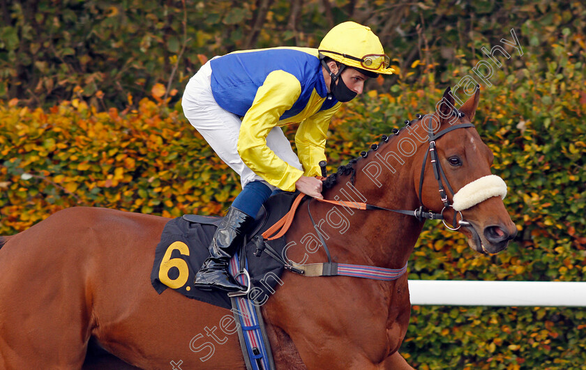 Cashel-0001 
 CASHEL (William Buick) 
Kempton 2 Nov 2020 - Pic Steven Cargill / Racingfotos.com