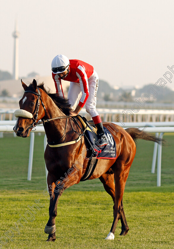 Simsir-0002 
 SIMSIR (Lee Newman) before winning The Bahrain International Trophy
Rashid Equestrian & Horseracing Club, Bahrain, 20 Nov 2020 - Pic Steven Cargill / Racingfotos.com