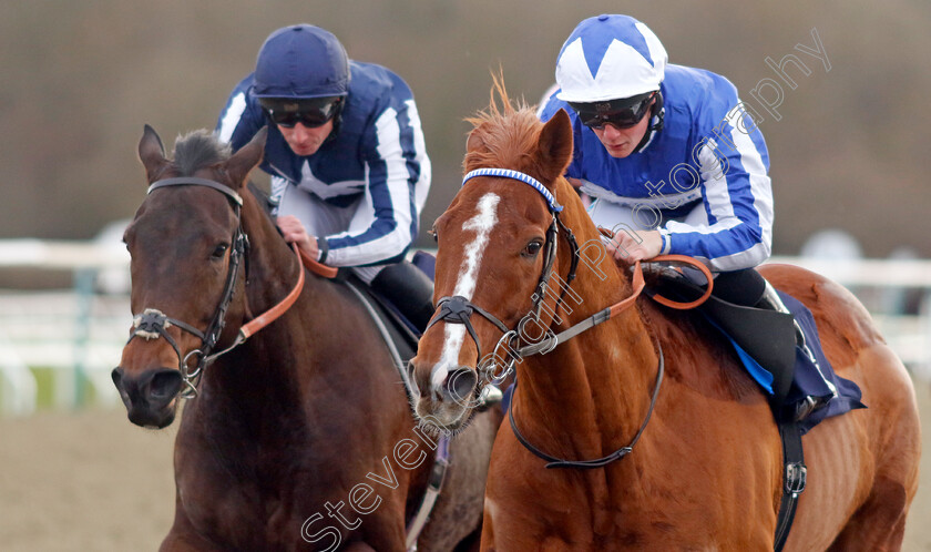 Fantastic-Fox-0003 
 FANTASTIC FOX (Aidan Keeley) beats TALIS EVOLVERE (left) in The Bet £10 Get £40 At Betmgm Handicap
Lingfield 20 Jan 2024 - Pic Steven Cargill / Racingfotos.com