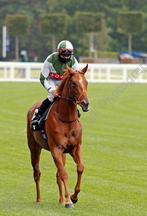 Luxy-Lou-0001 
 LUXY LOU (Dane O'Neill)
Ascot 25 Jul 2020 - Pic Steven Cargill / Racingfotos.com