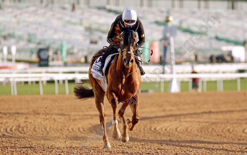 Ladies-Church-0002 
 LADIES CHURCH training for The Al Quoz Sprint
Meydan, Dubai, 22 Mar 2023 - Pic Steven Cargill / Racingfotos.com