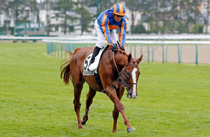 Coetzee-0001 
 COETZEE (Christophe Soumillon)
Deauville 3 Aug 2024 - Pic Steven Cargill / Racingfotos.com