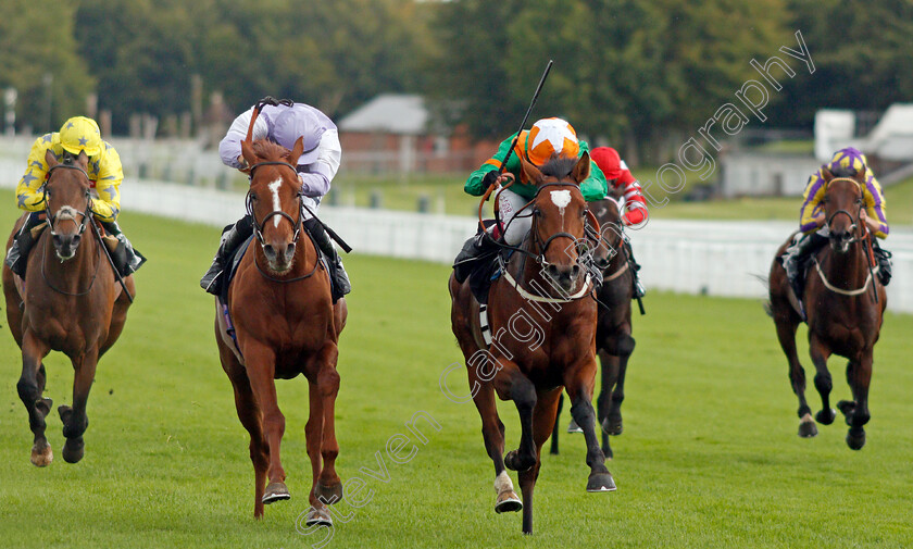 Lone-Eagle-0004 
 LONE EAGLE (2nd right, Oisin Murphy) beats OMAN (2nd left) in The British Stallion Studs EBF Novice Stakes
Goodwood 28 Aug 2020 - Pic Steven Cargill / Racingfotos.com