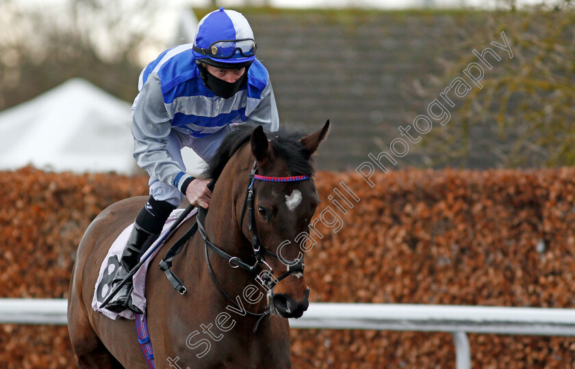 Marsden-Cross-0002 
 MARSDEN CROSS (William Carson)
Kempton 16 Feb 2021 - Pic Steven Cargill / Racingfotos.com