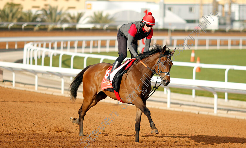 Get-Shirty-0002 
 GET SHIRTY training for The Red Sea Turf Handicap
King Abdulaziz Racecourse, Kingdom of Saudi Arabia, 22 Feb 2023 - Pic Steven Cargill / Racingfotos.com