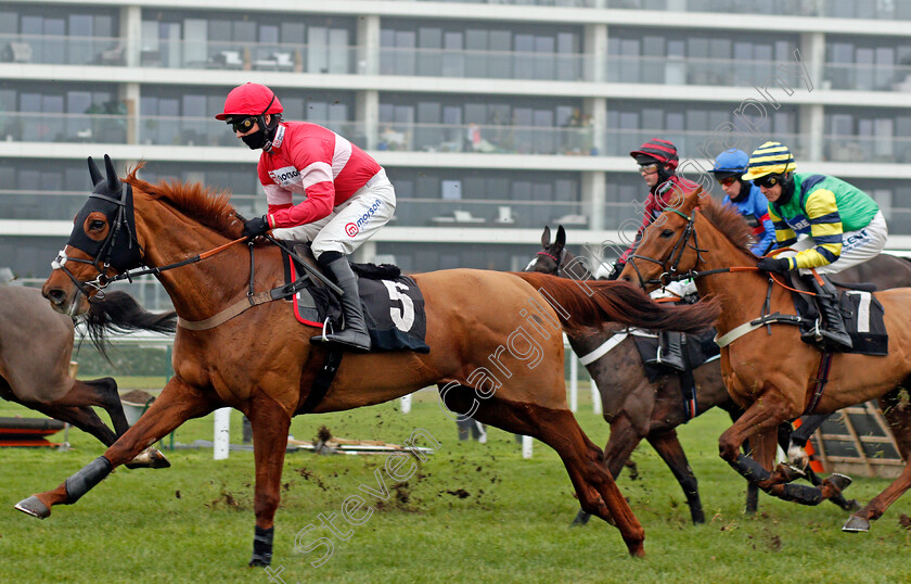 Estelle-Ma-Belle-0002 
 ESTELLE MA BELLE (Harry Cobden)
Newbury 28 Nov 2020 - Pic Steven Cargill / Racingfotos.com