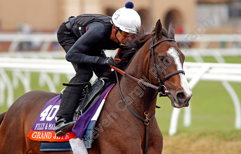 Grand-Jete-0001 
 GRAND JETE training for The Breeders' Cup Filly and Mare Turf at Del Mar USA, 1 Nov 2017 - Pic Steven Cargill / Racingfotos.com