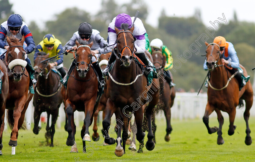 Diligently-0005 
 DILIGENTLY (Rossa Ryan) wins The Harry's Half Million By Goffs Premier Yearling Stakes
York 22 Aug 2024 - Pic Steven Cargill / Racingfotos.com