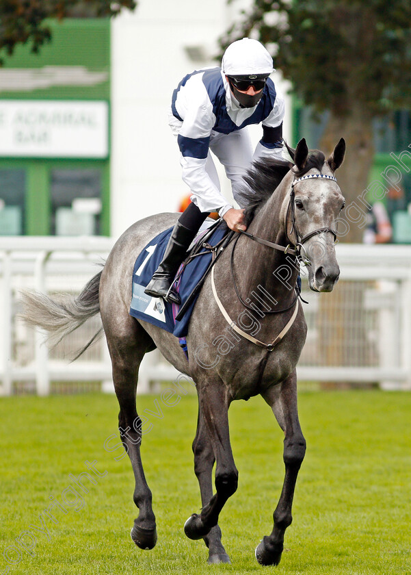 Bella-Vita-0001 
 BELLA VITA (Charles Bishop)
Yarmouth 16 Sep 2020 - Pic Steven Cargill / Racingfotos.com