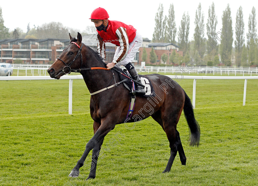 Honky-Tonk-Man-0001 
 HONKY TONK MAN (Jason Watson)
Newbury 15 May 2021 - Pic Steven Cargill / Racingfotos.com