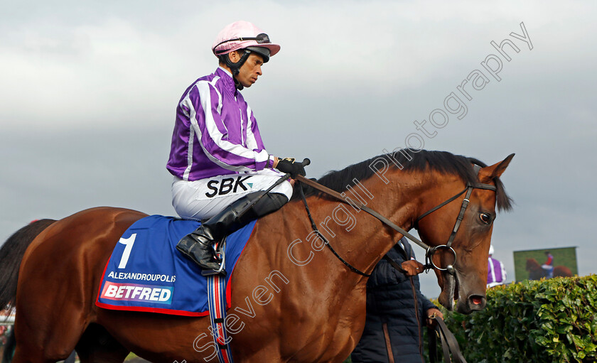 Alexandroupolis-0001 
 ALEXANDROUPOLIS (Sean Levey)
Doncaster 16 Sep 2023 - Pic Steven Cargill / Racingfotos.com