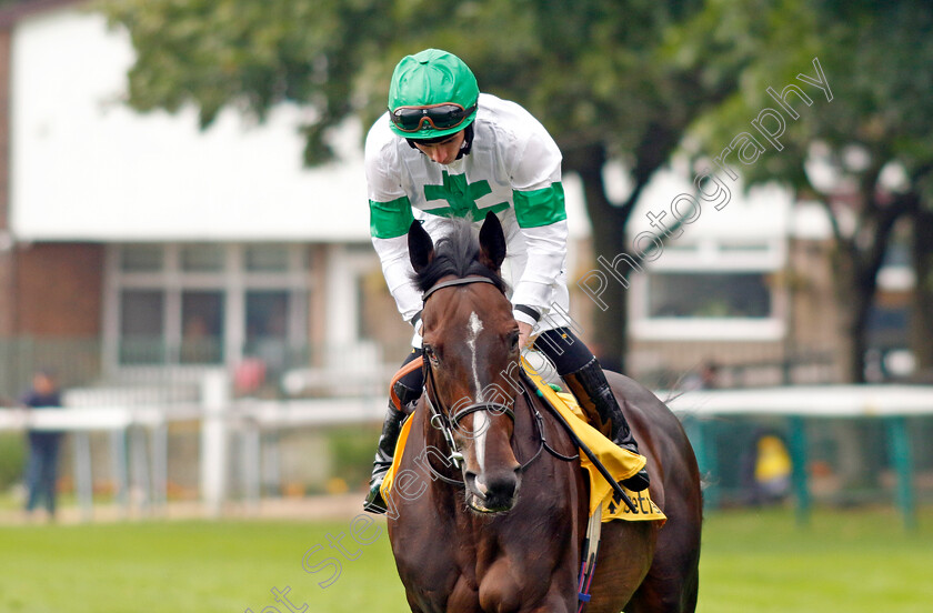 If-Not-Now-0002 
 IF NOT NOW (Rossa Ryan)
Haydock 7 Sep 2024 - Pic Steven Cargill / Racingfotos.com