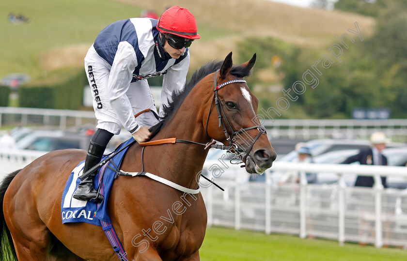 Paradias-0002 
 PARADIAS (Richard Kingscote)
Goodwood 1 Aug 2023 - Pic Steven Cargill / Racingfotos.com