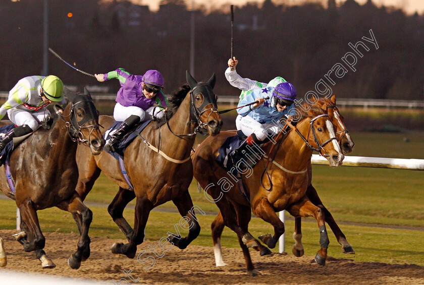 Nezar-0001 
 NEZAR (right, Sophie Ralston) beats THE ESTABLISHMENT (2nd left) and MOUNT WELLINGTON (left) in The Bombardier British Hopped Amber Beer Handicap
Wolverhampton 3 Jan 2020 - Pic Steven Cargill / Racingfotos.com