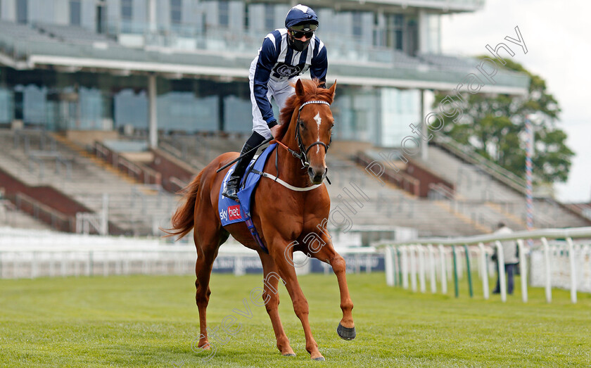 Win-O Clock-0001 
 WIN O'CLOCK (James Doyle)
York 12 May 2021 - pic Steven Cargill / Racingfotos.com