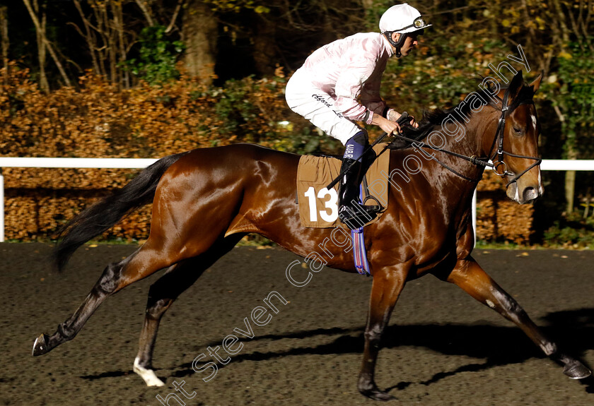 Padua-0001 
 PADUA (Clifford Lee)
Kempton 4 Dec 2024 - Pic Steven Cargill / Racingfotos.com