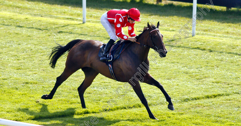 Curious-Fox-0003 
 CURIOUS FOX (David Probert) wins The Barrier Trials At Lingfield Park Fillies Handicap
Lingfield 25 Jul 2018 - Pic Steven Cargill / Racingfotos.com